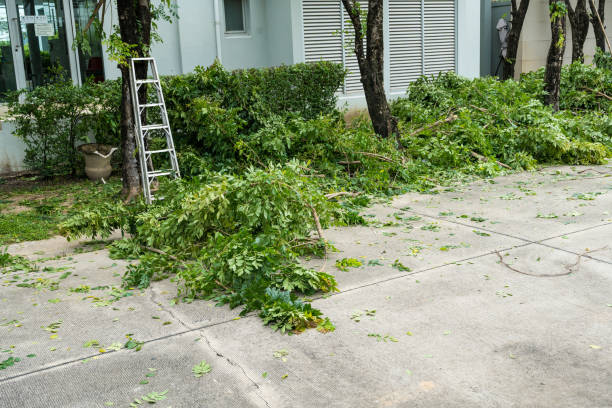 Best Hedge Trimming  in Kennesaw, GA