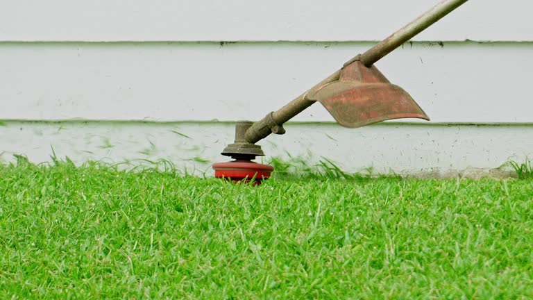 Best Lawn Irrigation Installation and Maintenance  in Kennesaw, GA